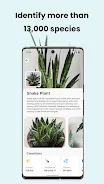 PlantCam: AI Plant Identifier Captura de pantalla 2