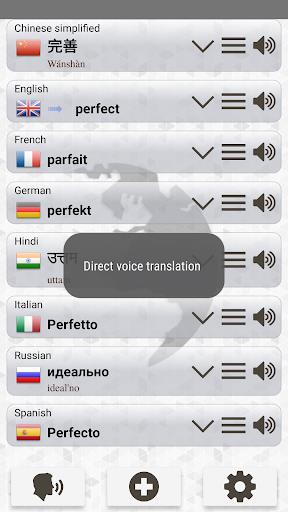 Q Multi Language Translator Ảnh chụp màn hình 3