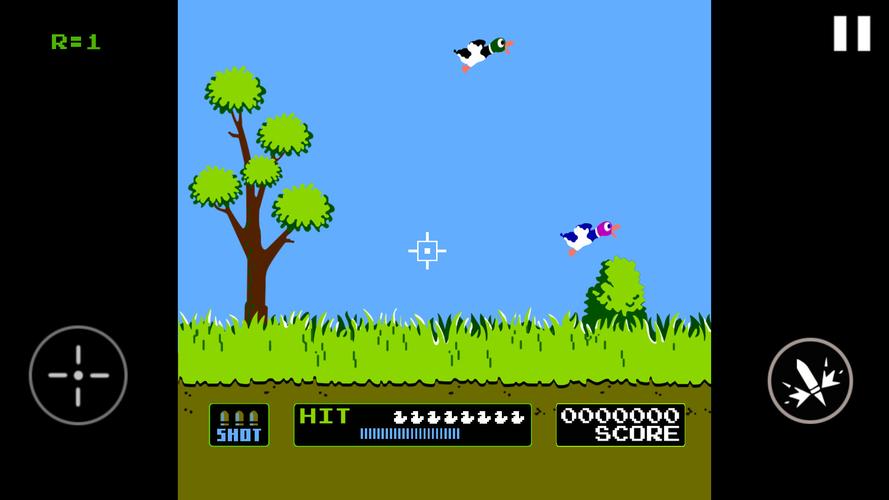 Duck Hunt Screenshot 2