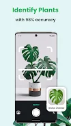 PlantCam: AI Plant Identifier ဖန်သားပြင်ဓာတ်ပုံ 0