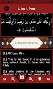 The Holy Quran and its Meaning Capture d'écran 3