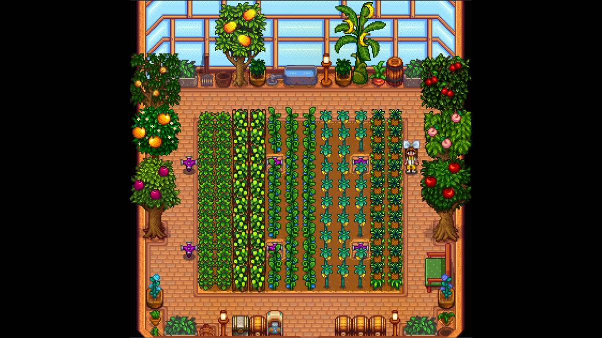 Stardew Valley Greenhouse Pojemność: Ujawniono limit roślin