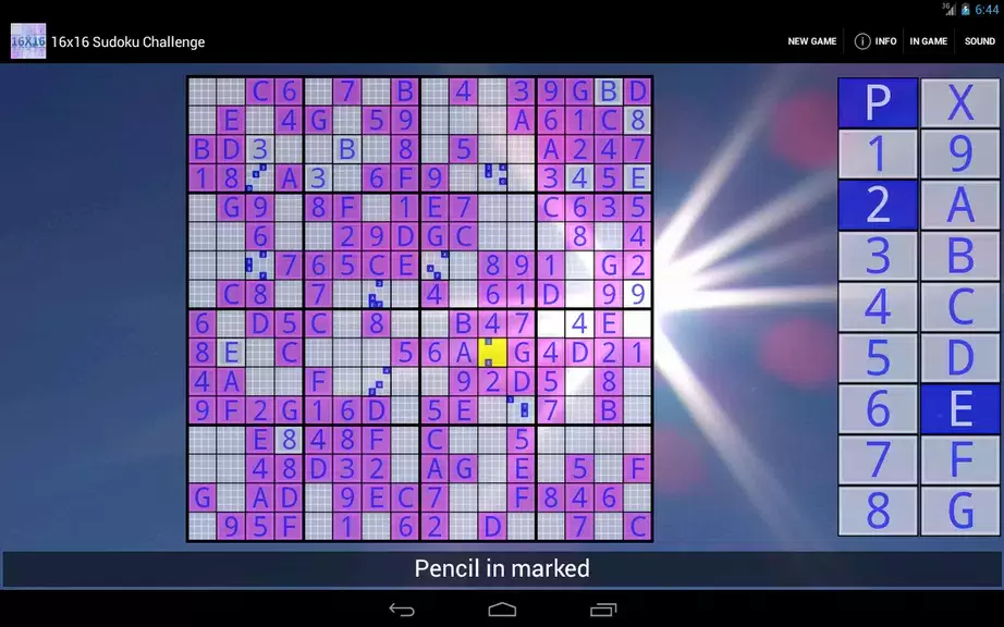 16x16 Sudoku Challenge HD Screenshot 2