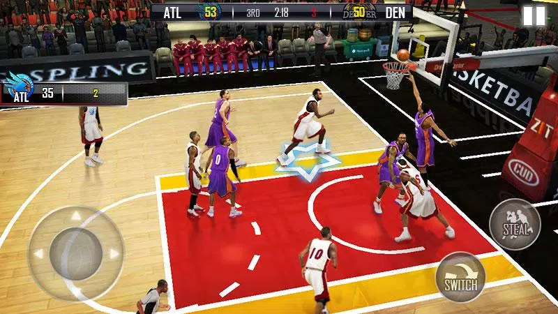 Fanatical Basketball Capture d'écran 1