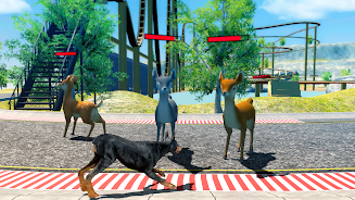 Doberman Dog Simulator Ekran Görüntüsü 1