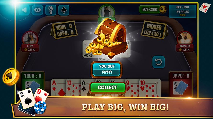 29 Card Game Plus Captura de pantalla 2