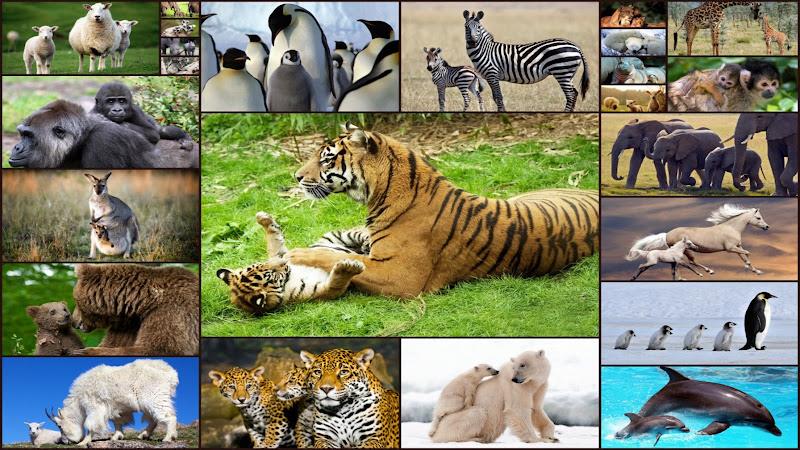 Baby Animal Jigsaw Puzzles Zrzut ekranu 0