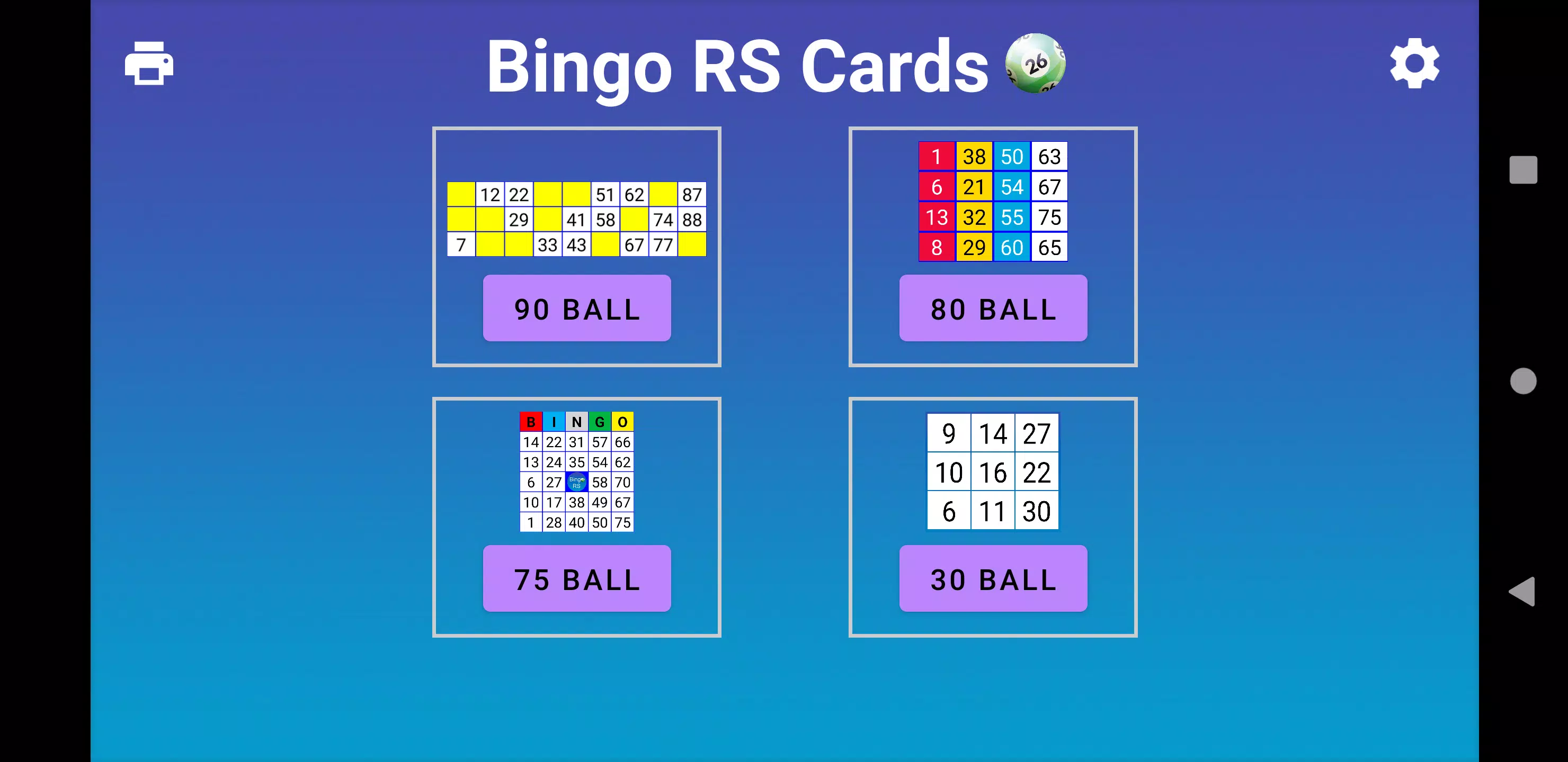 Bingo RS Cards Ảnh chụp màn hình 0