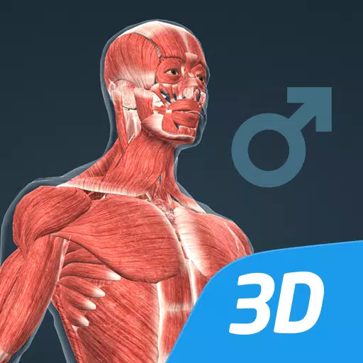 Corpo humano (masculino) 3D