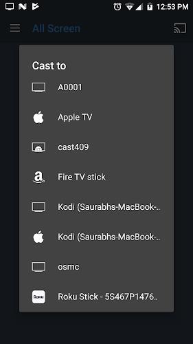 All Screen Cast to TV Roku Schermafbeelding 2