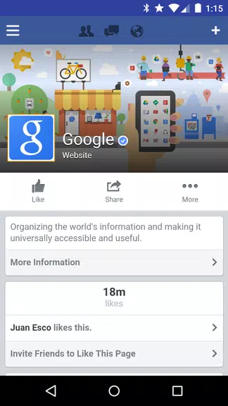 Tinfoil for Facebook 스크린샷 0