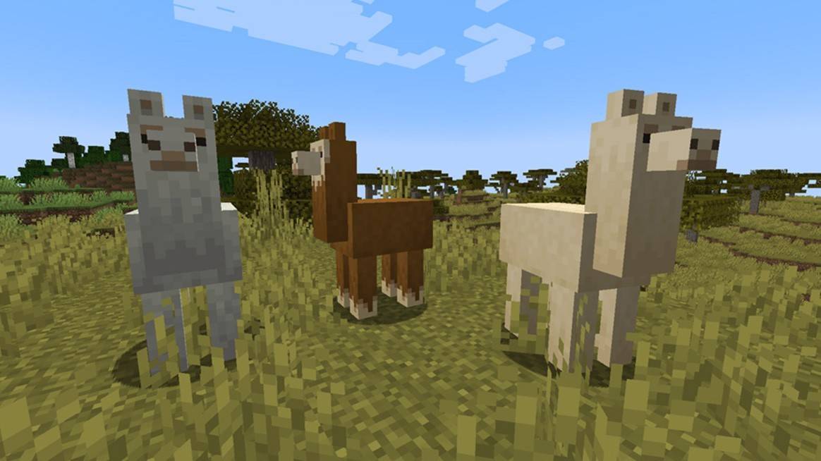 Minecraft में Llamas