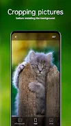 Kitten Wallpapers 4K স্ক্রিনশট 3