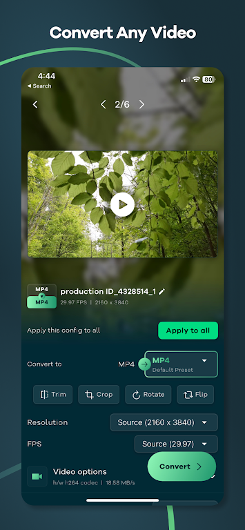 Video Converter - Remux應用截圖第0張