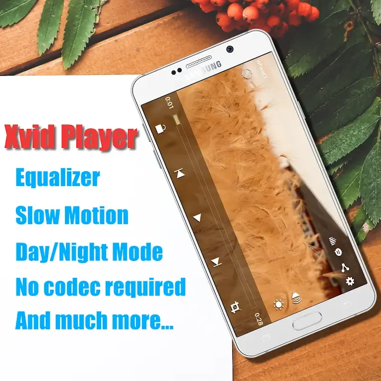 Xvid Video Codec Player স্ক্রিনশট 0
