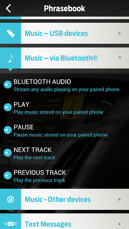 Schermata Ford SYNC™ 2