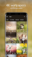 Dog Wallpapers & Puppy 4K Ảnh chụp màn hình 1