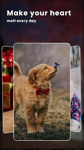 Schermata Puppy Love: Cute Dog Wallpaper 2