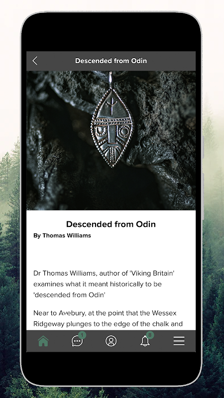 Descended from Odin Screenshot 2