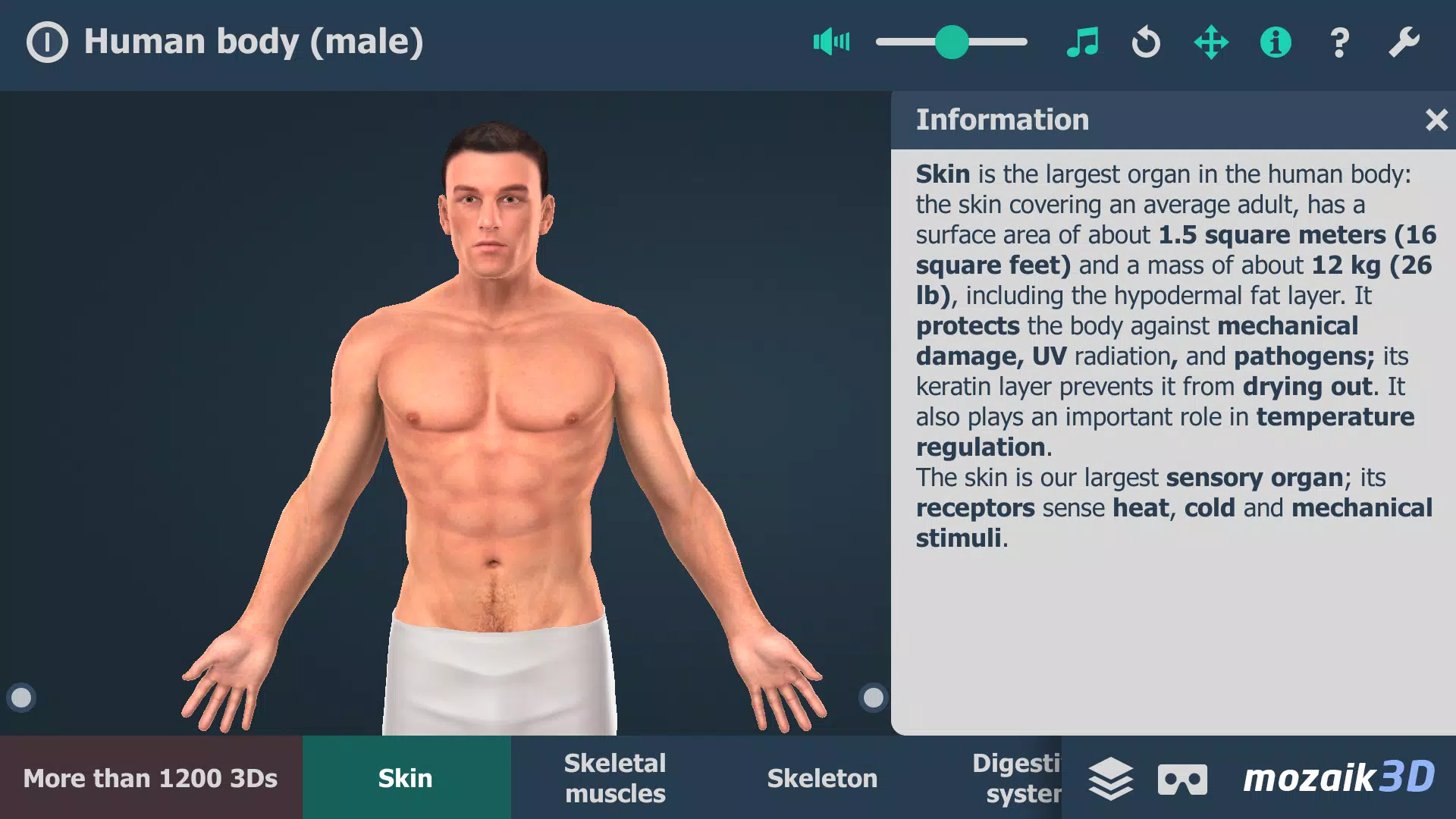 Human body (male) 3D scene ภาพหน้าจอ 0