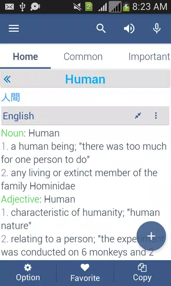 Japanese Dictionary Offline Screenshot 2