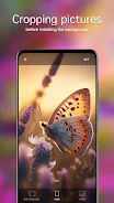 Butterfly Wallpapers 4K स्क्रीनशॉट 3