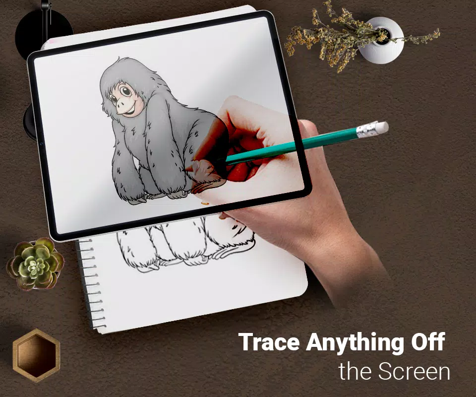 Draw : Trace & Sketch Screenshot 0