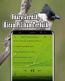 Suara Burung Kutilang Offline應用截圖第3張