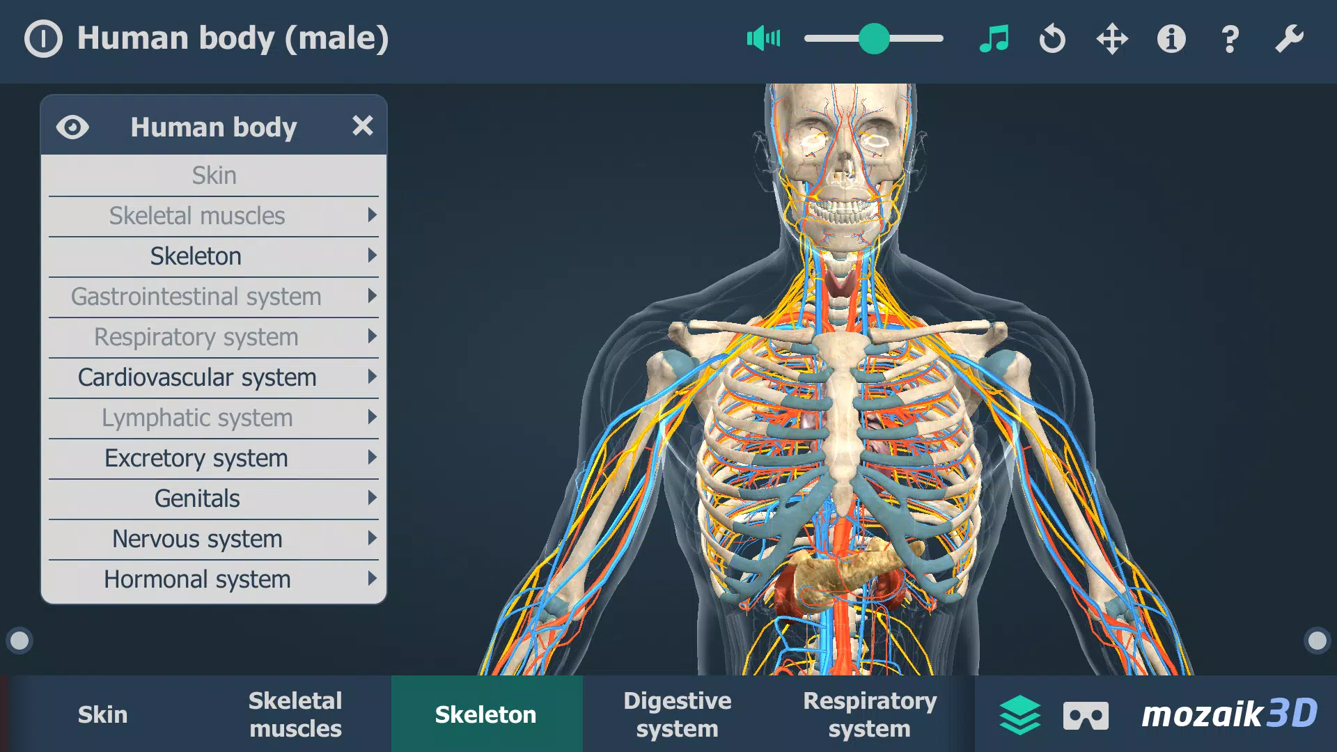 Human body (male) 3D scene Screenshot 3