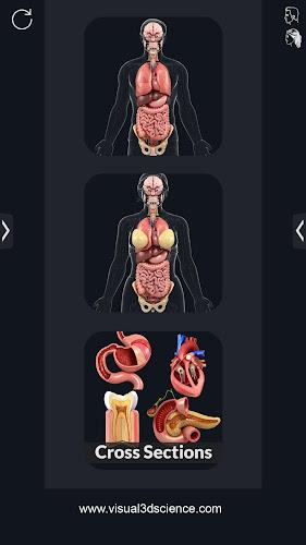 My Organs Anatomy Capture d'écran 0