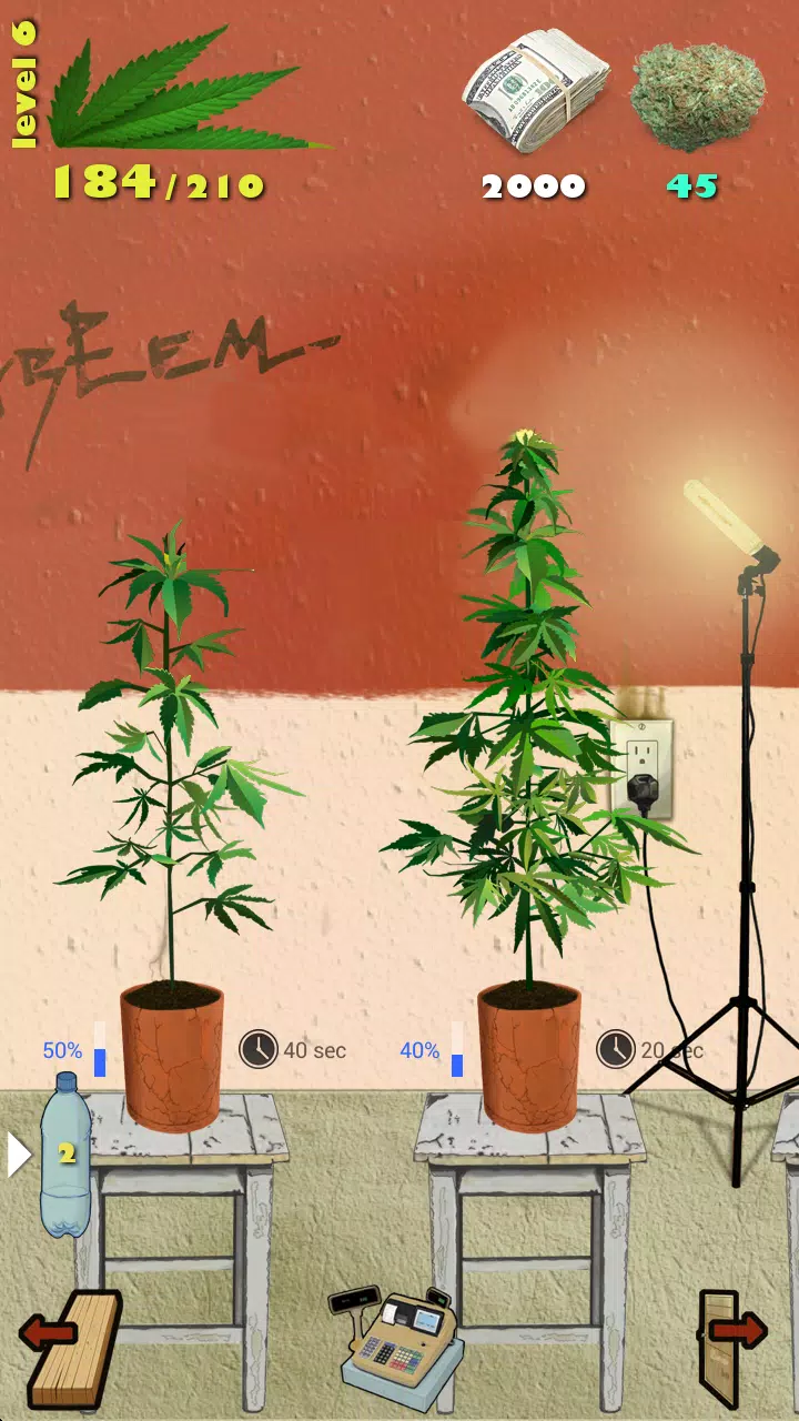 Weed Firm: RePlanted應用截圖第1張