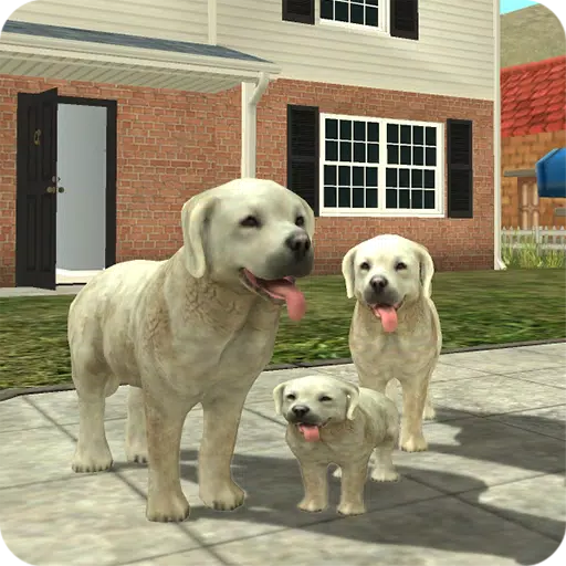 Dog Sim