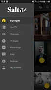 Salt TV ภาพหน้าจอ 0