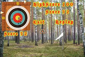 Crossbow Shooting Zrzut ekranu 3