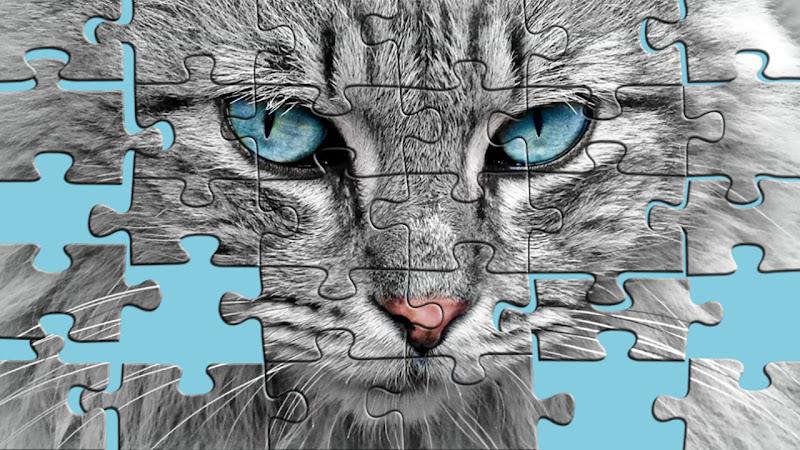 Big puzzles with cats ภาพหน้าจอ 0