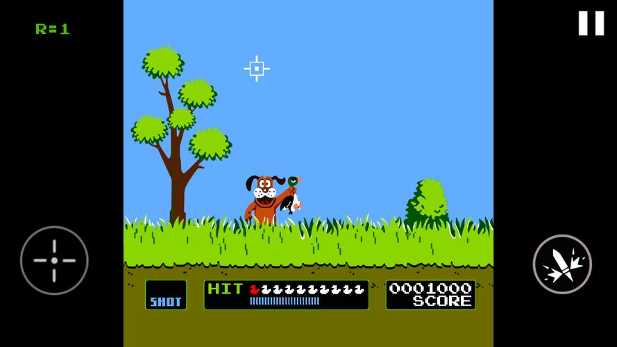 Duck Hunt Screenshot 1