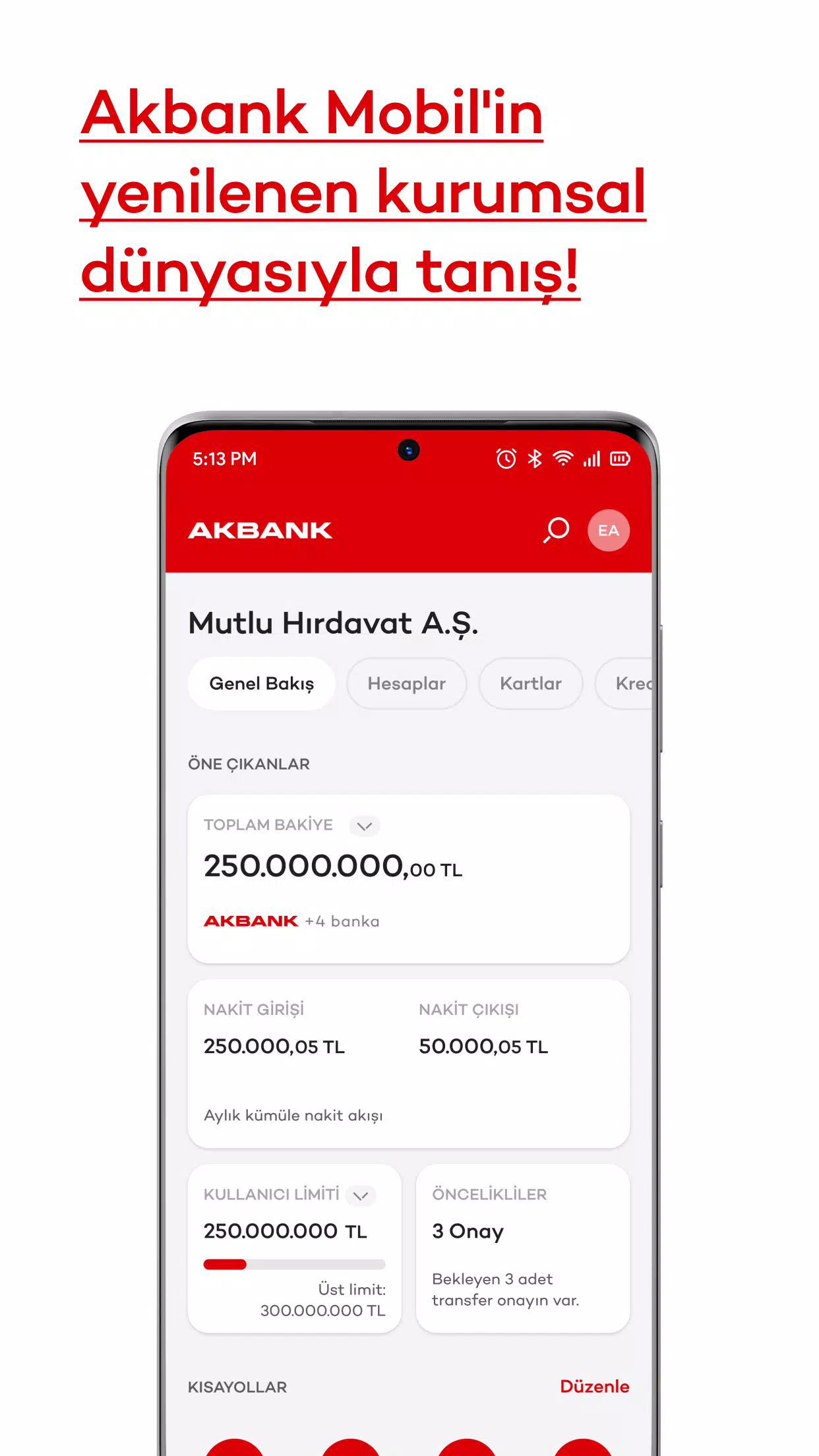 Akbank Captura de tela 3