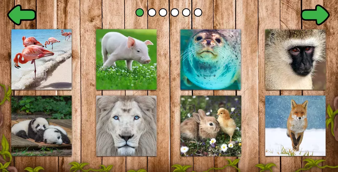 Animal puzzle games offline應用截圖第1張