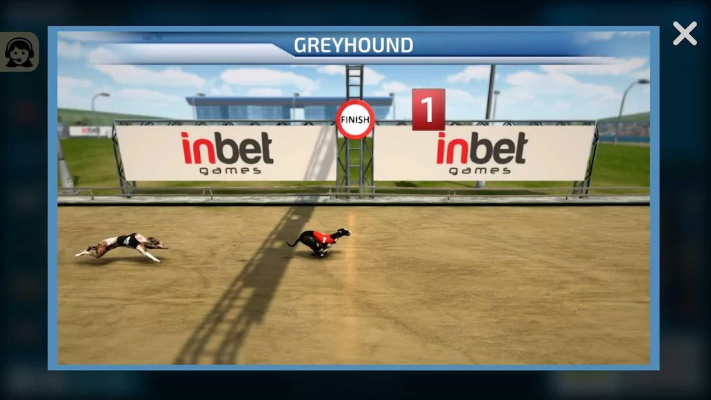 Dogs3D Races Betting ภาพหน้าจอ 3