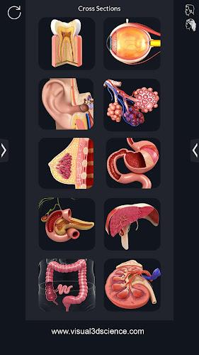 My Organs Anatomy Screenshot 1