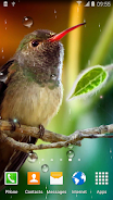 Schermata Hummingbirds Live Wallpaper 0