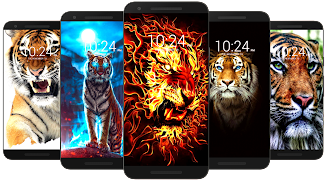 Tiger Wallpaper HD & 4K ဖန်သားပြင်ဓာတ်ပုံ 1