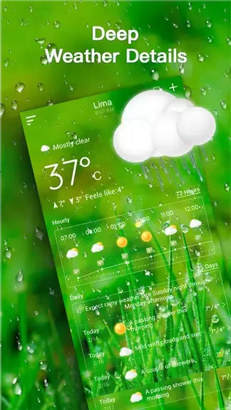 Live Weather Forecast Captura de pantalla 2