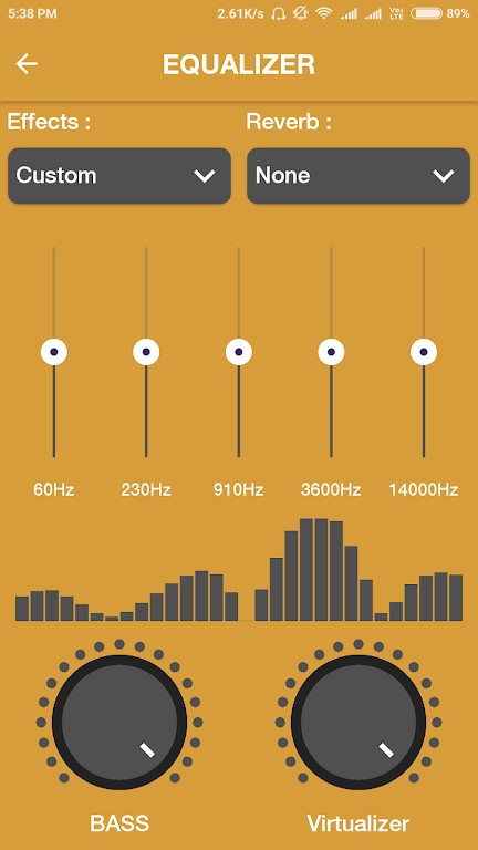 Roar Music Player應用截圖第1張