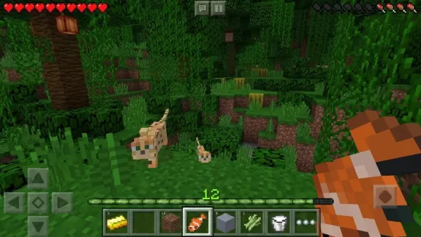 Perché i giochi creativi sono così avvincenti: un'opinione