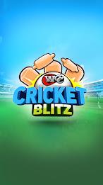 WCC Cricket Blitz Captura de tela 0