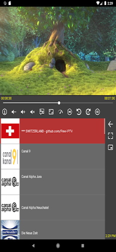 IPTV Proxy - Player & Cast ภาพหน้าจอ 0