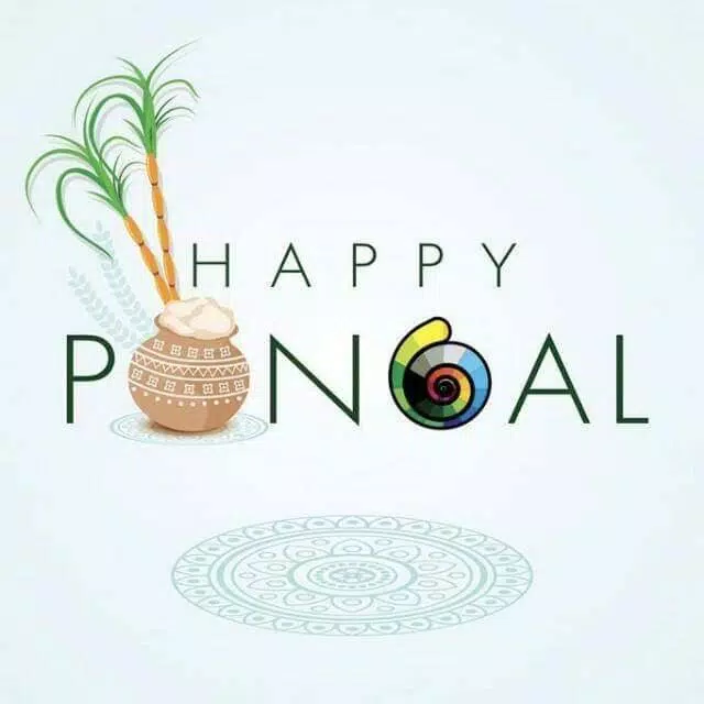 Happy Pongal Wishes Schermafbeelding 0