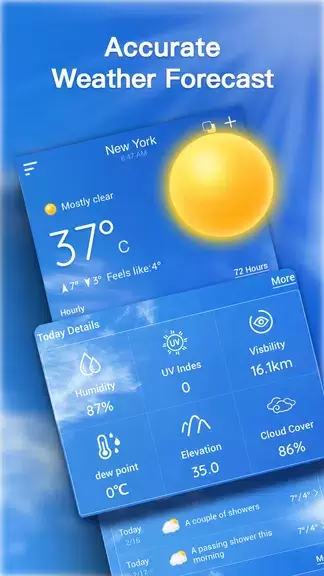 Live Weather Forecast Capture d'écran 0