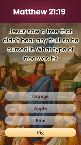 Sopa de letras de la Biblia Captura de pantalla 1